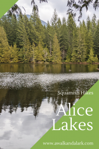 Alice Lakes - Edith Lake view