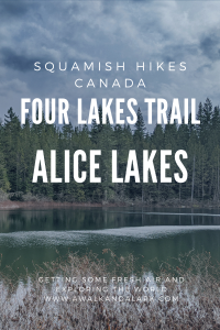 Alice Lakes - Four Lakes Trail and Fawn Lake view