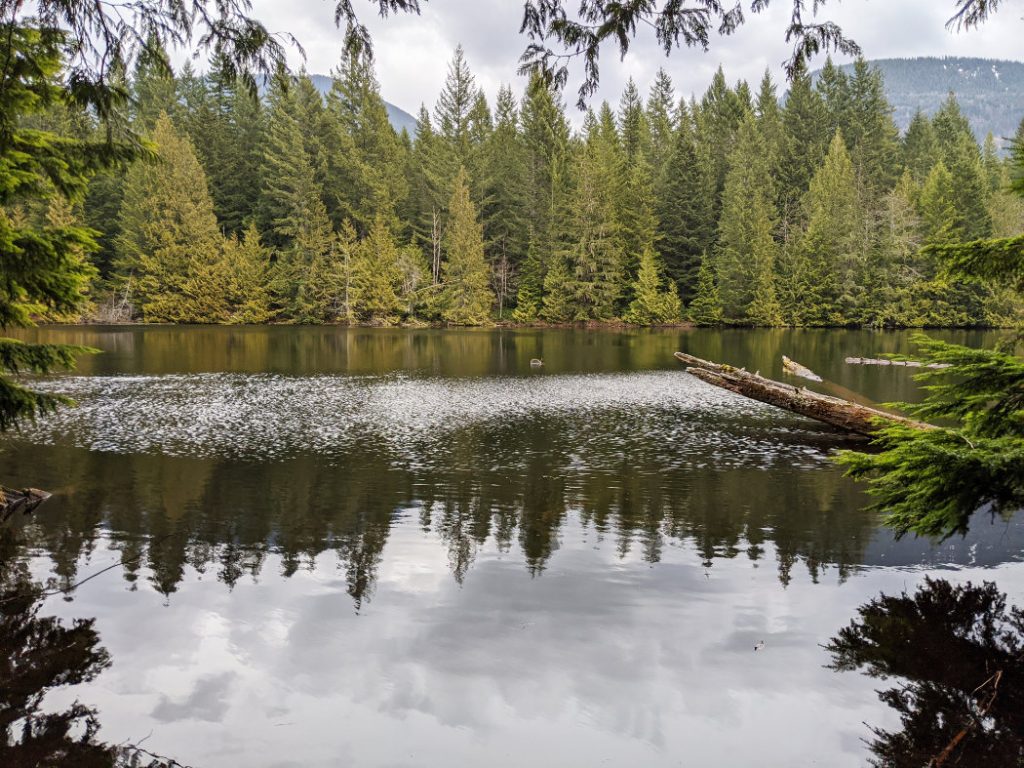 Edith Lake reflections