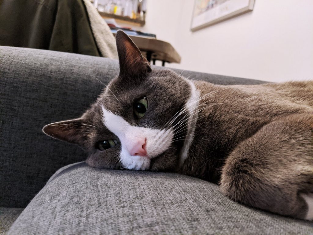 Monty looking exhausted