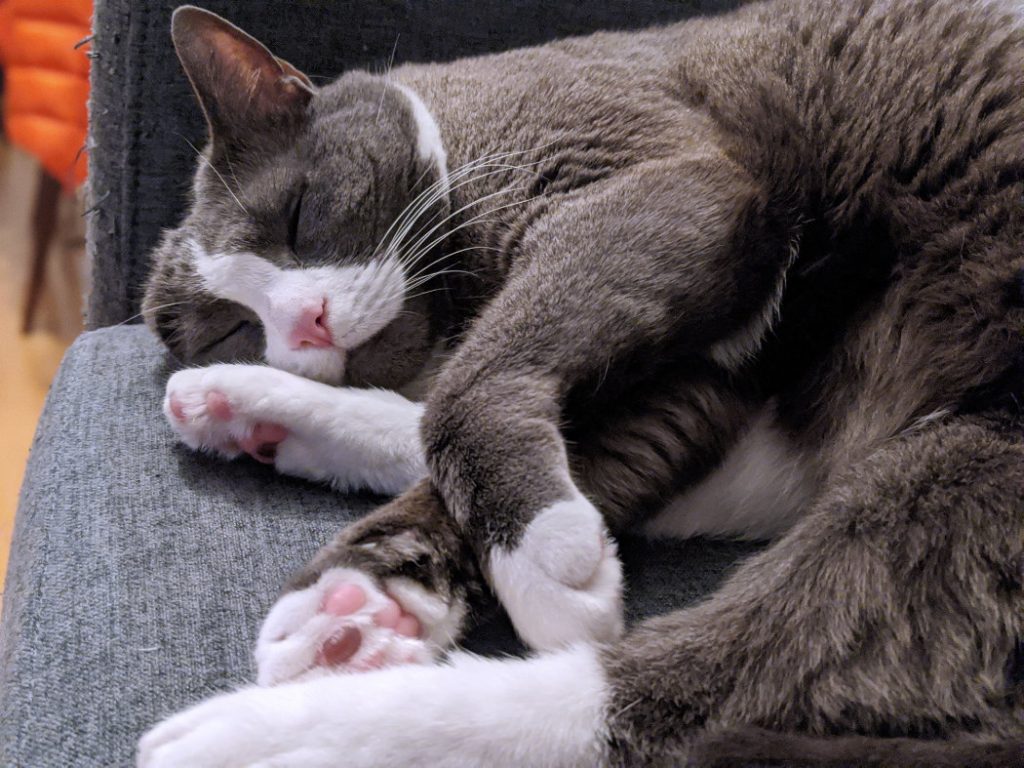 More exhausted Monty