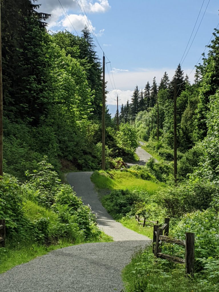 Gorgeous views at the bottom of Burnaby Mountain