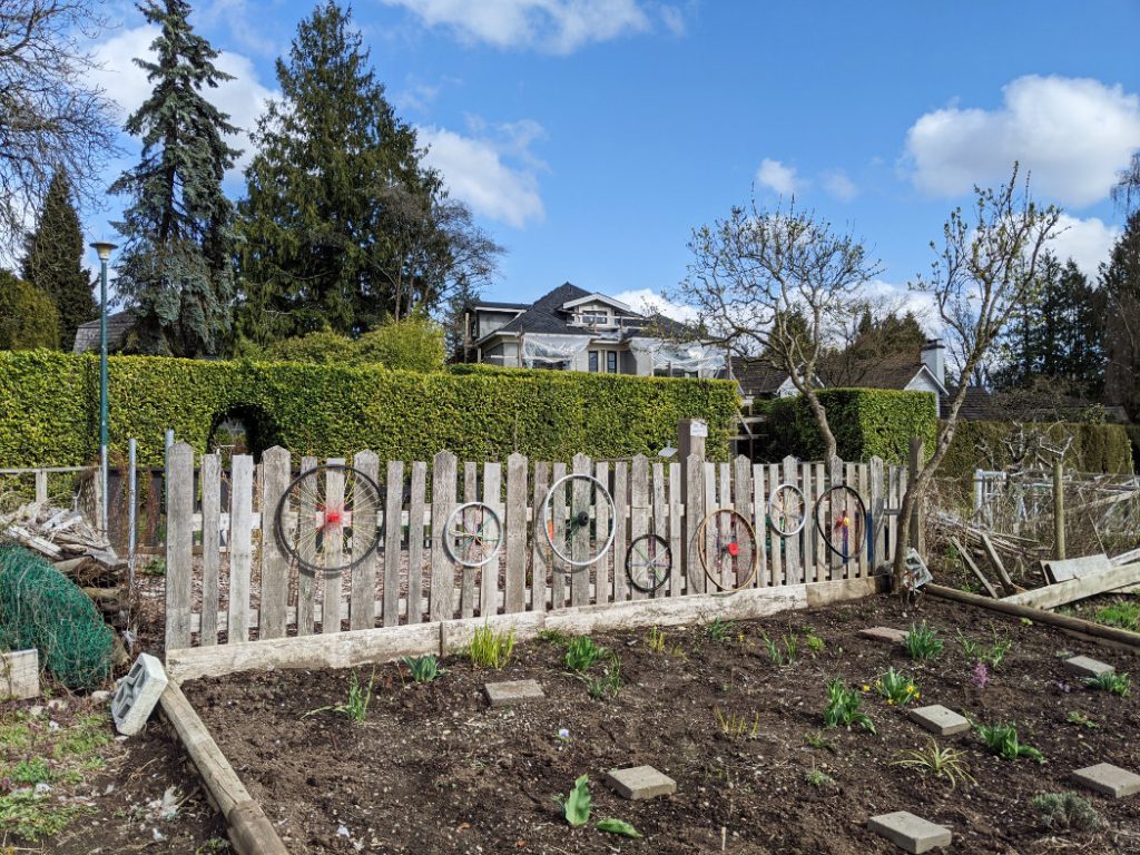 53rd Wheels on a fence on the Arbutus Greenway