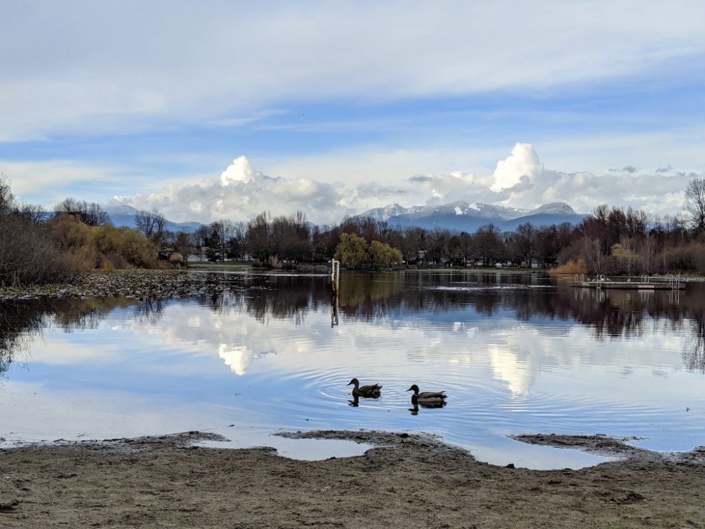 Beautiful Trout Lake