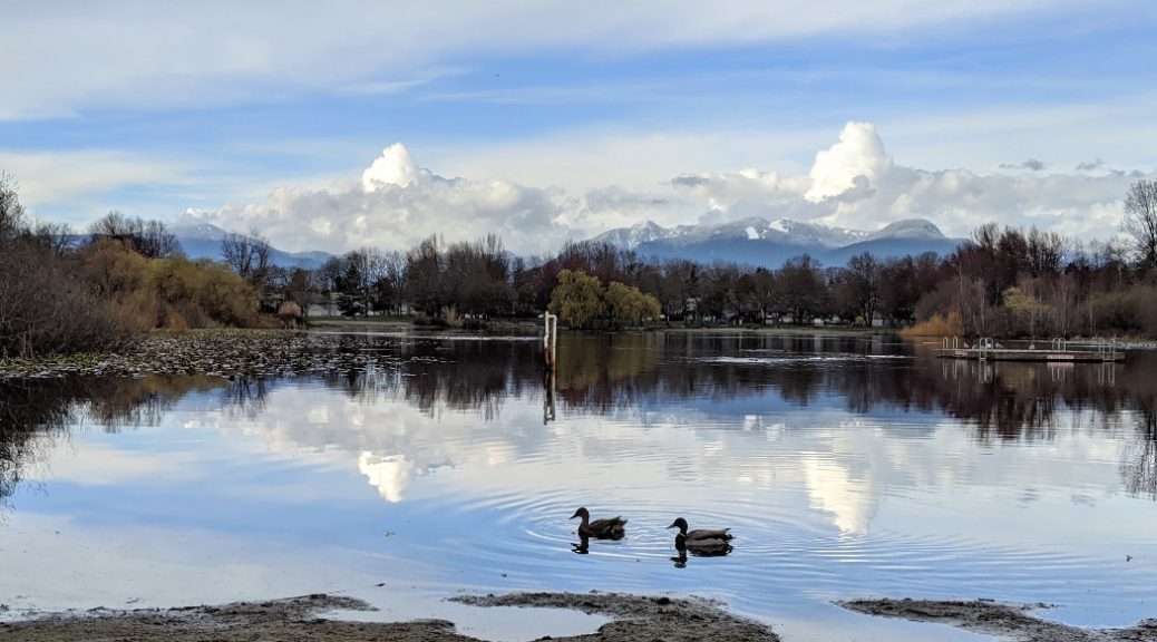 Beautiful Trout Lake