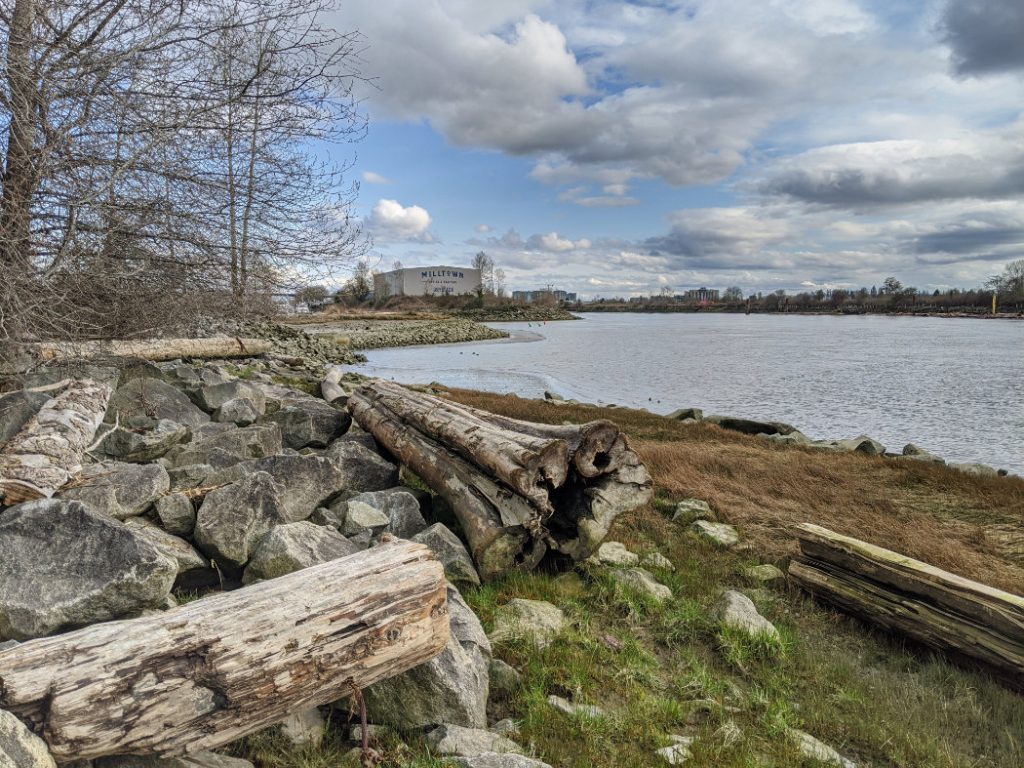 Fraser River Park - Looking East along the Fraser River