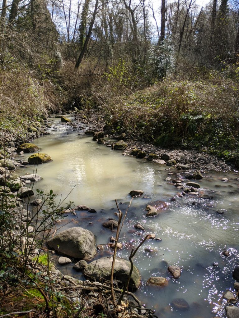 Renfrew Ravine