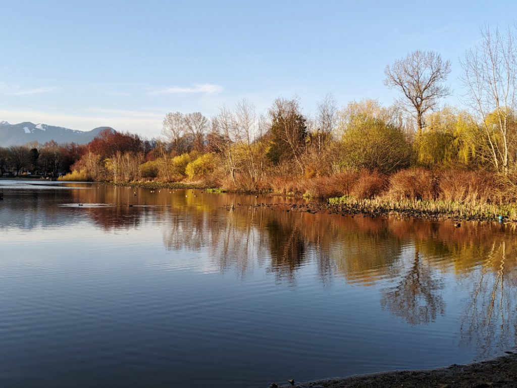 Trout Lake in spring - before everything goes green