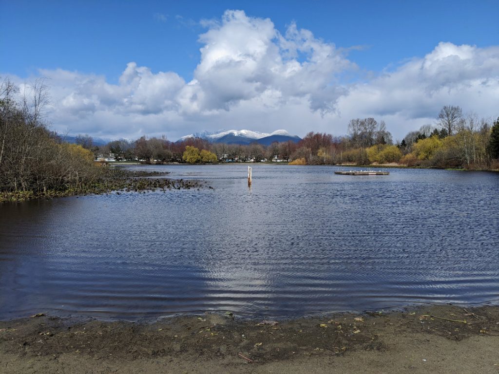 Trout Lake looking at the North Shore Mountains covered in snow