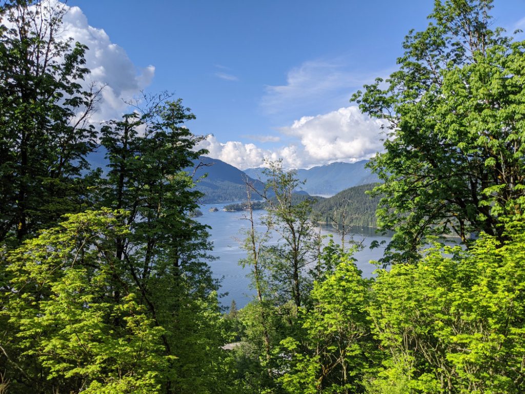 Velodrome trail looking up to Indian Arm