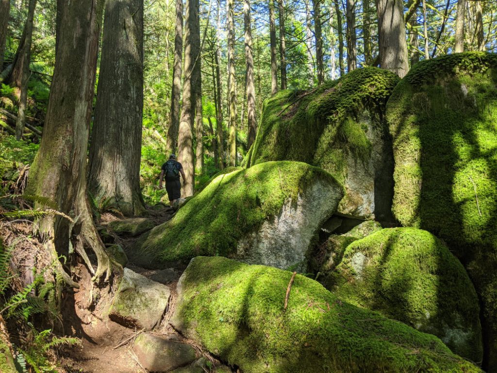 Mossy rocks on the Harrion Grind