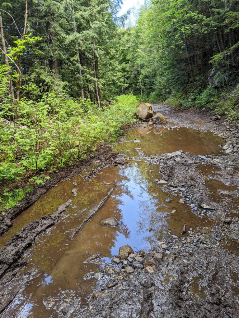 Muddy trails