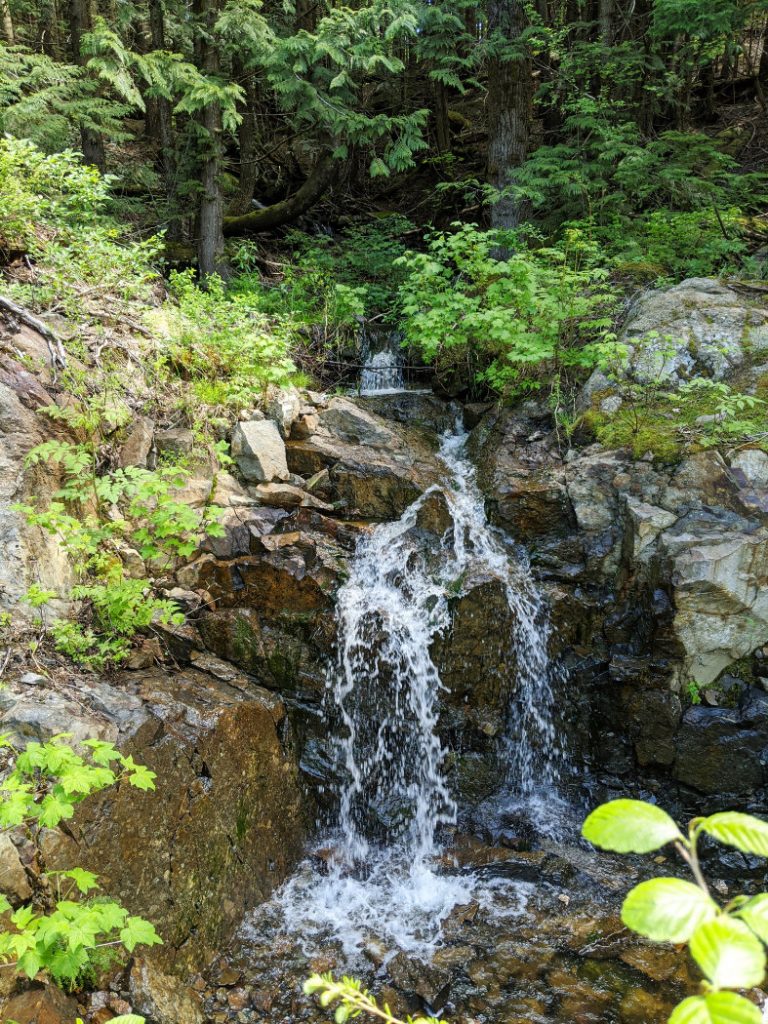 Teeny waterfall by the trail