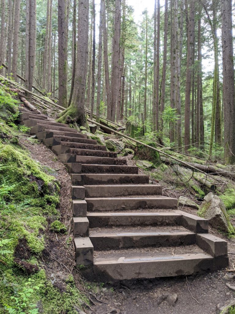 Jug island trail steps