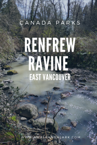 Renfrew Ravine and Still Creek in East Van