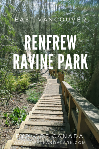 Steps down into Renfrew Ravine in East Van