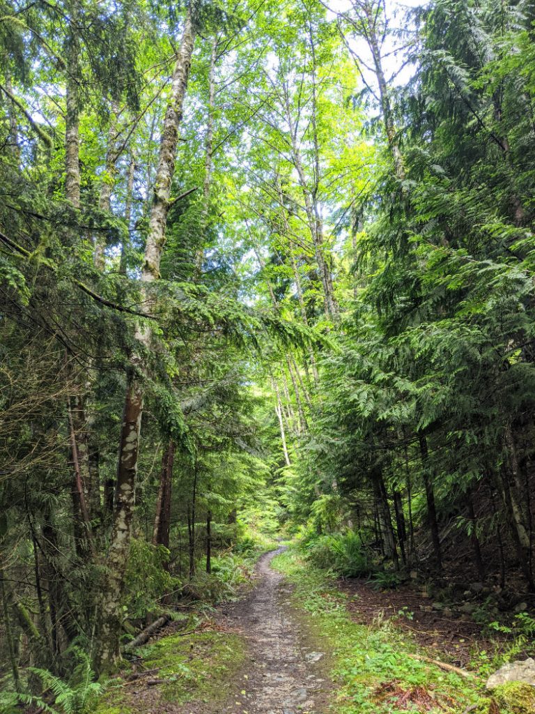 Easy to follow path