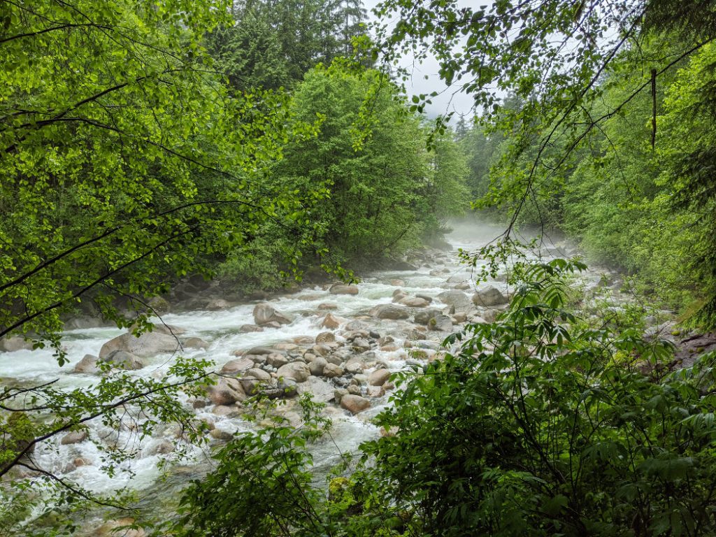 First Views of Lynn Creek