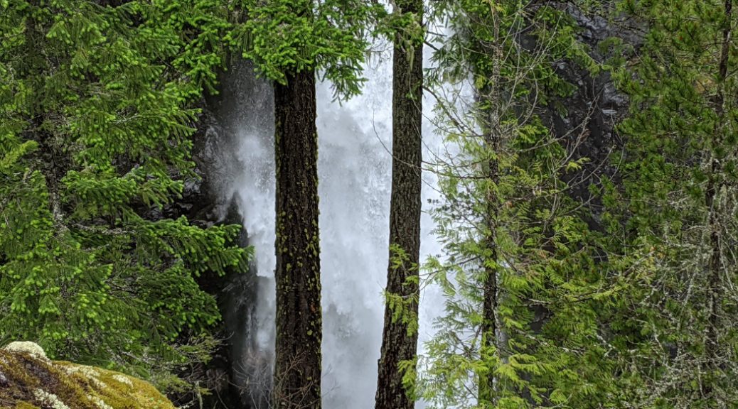 High Falls gushing through the trees