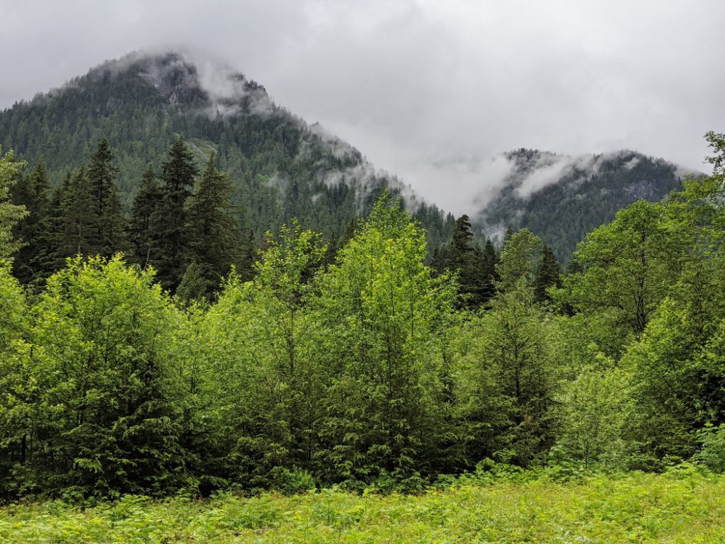 Misty Mountain views