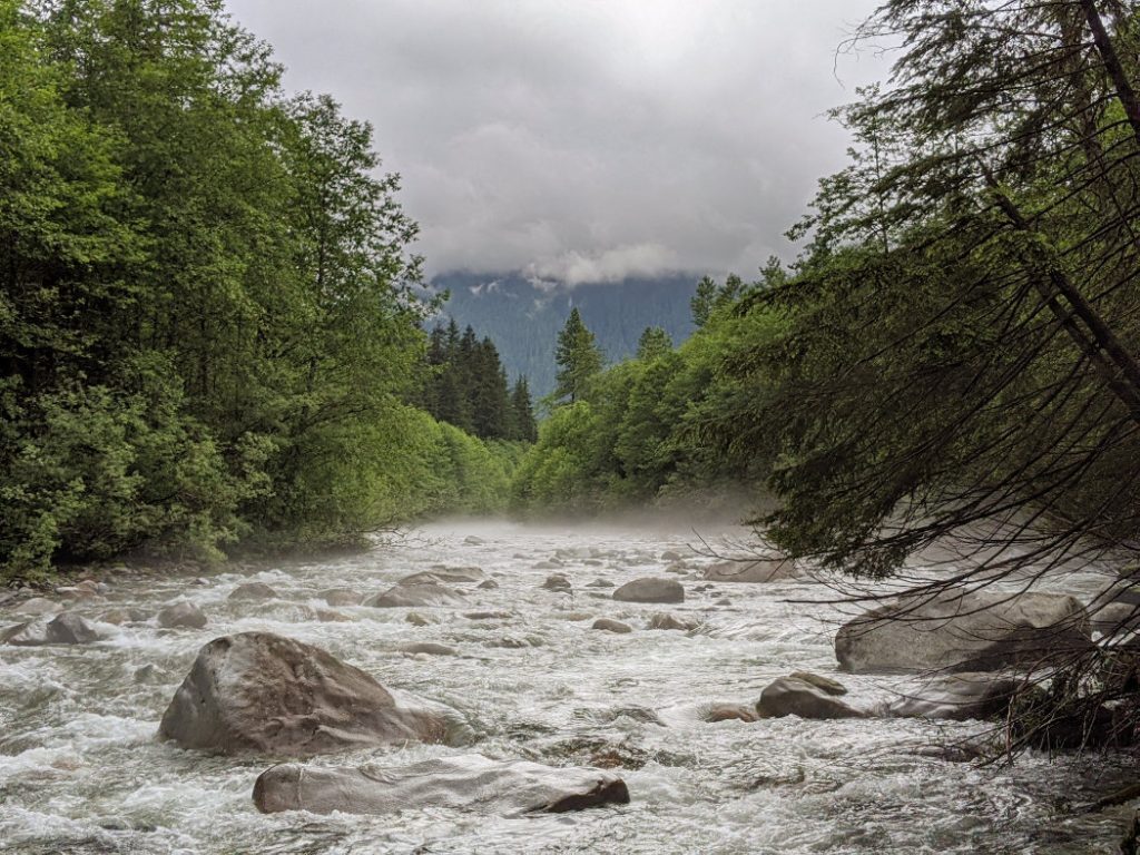Misty views of Lynn Creek
