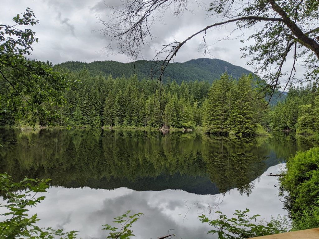 Rice Lake in Lynn Headwaters Regional Park