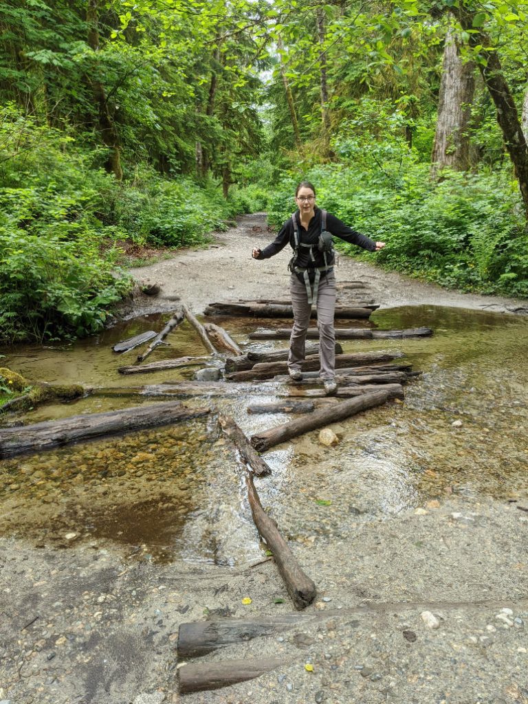 There are logs to help you cross streams on soggy days