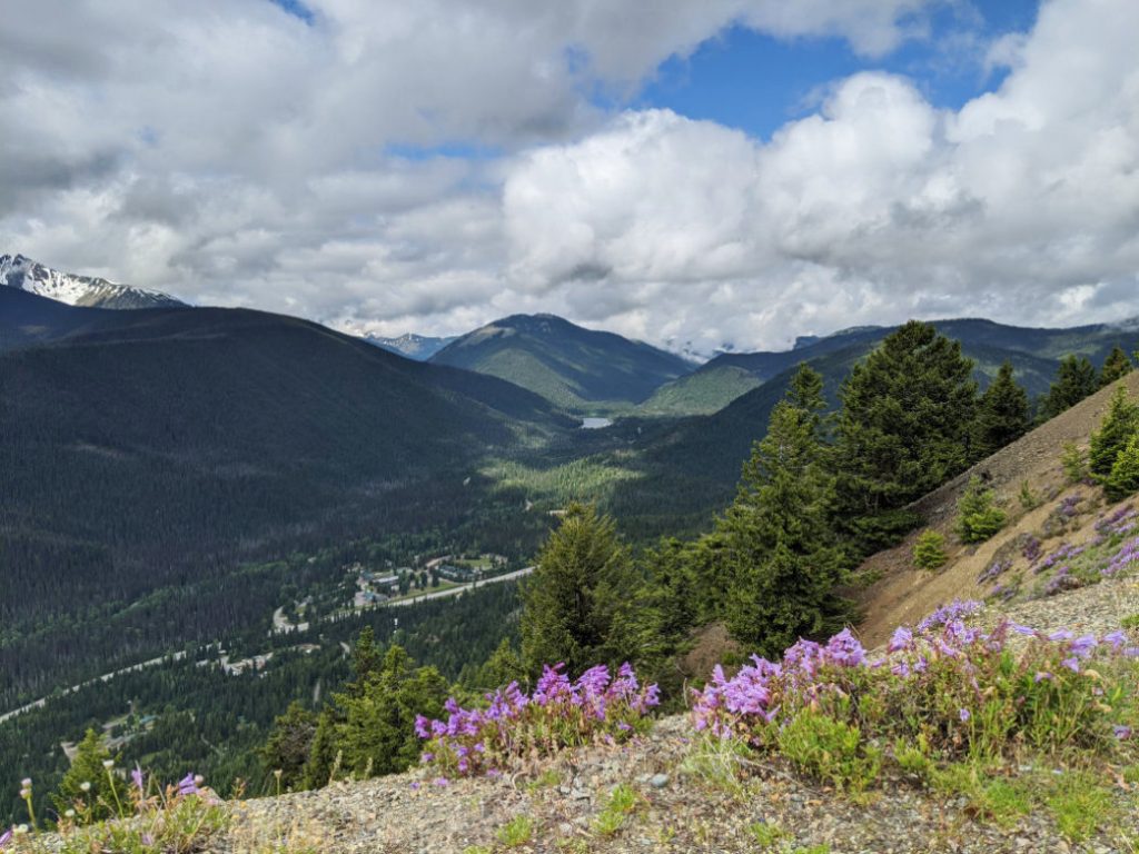 First views from the Viewpoint