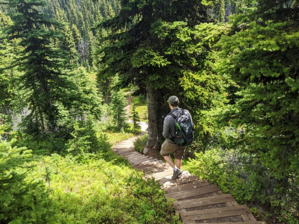 Steps down on the Heather trail
