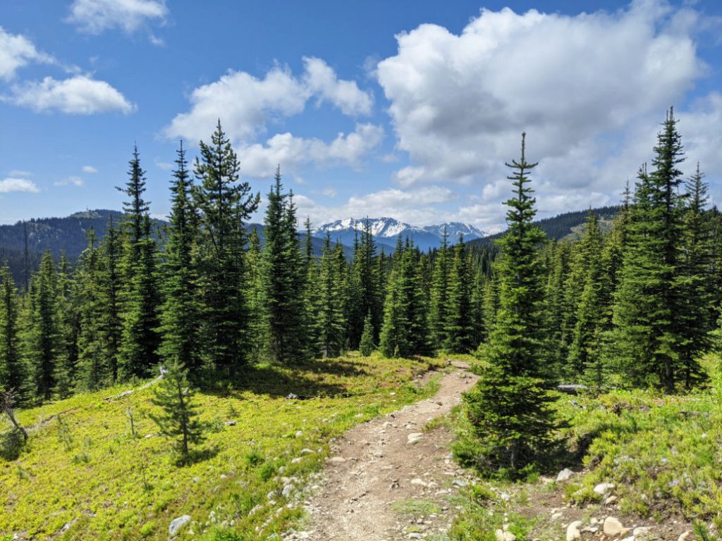 Hike through forest and meadows