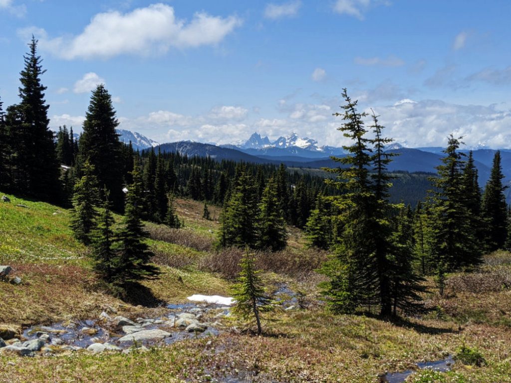 Hozomeen Mountain looking amazing from the meadows