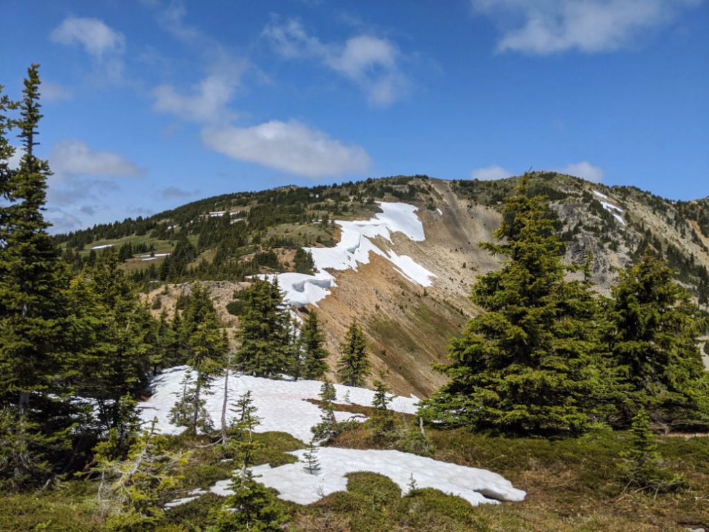 See all the snowy cornices