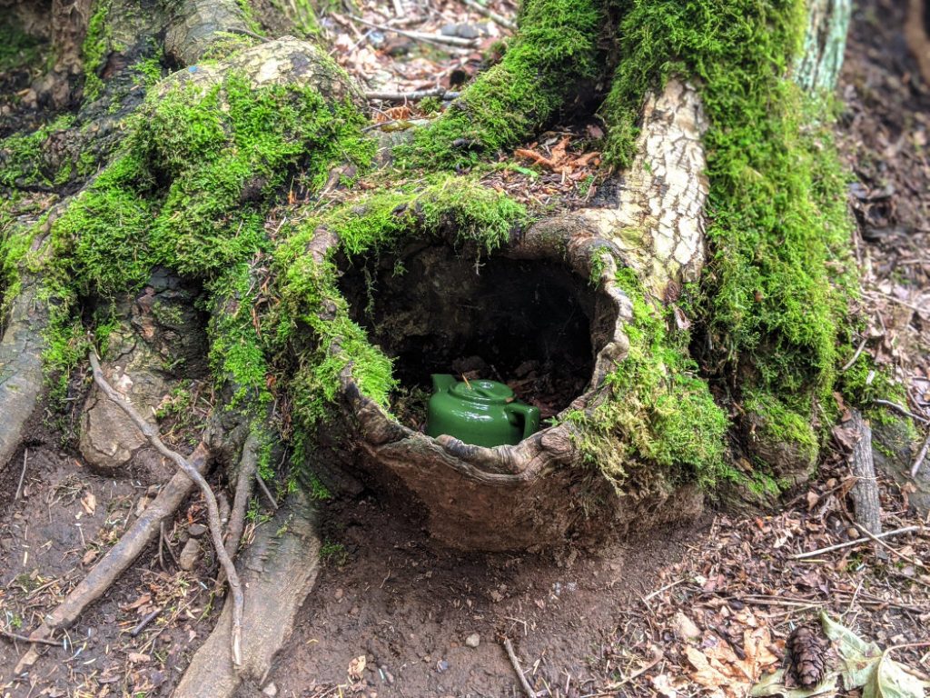 Green teapot shown up with moss