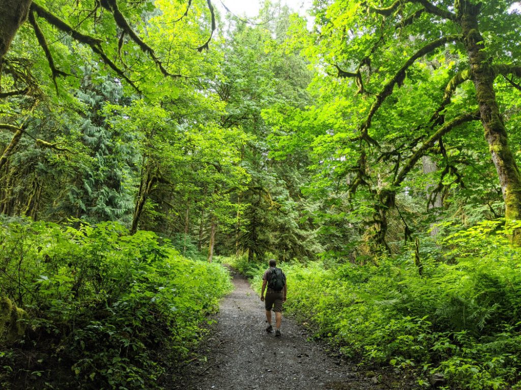Marc at the start of the Seven sisters trail near Cultus Lake