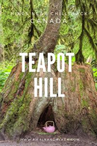 One of the best family walks near Chilliwack and Vancouver - Teapot Hill