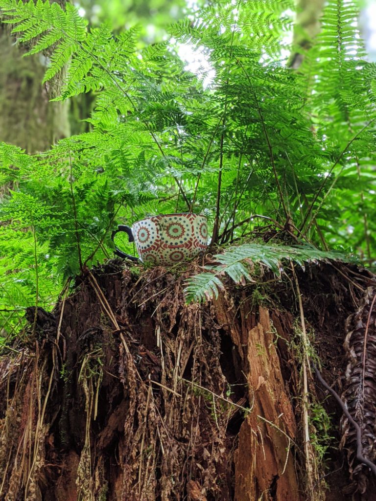 Teacup hiding in the foliage