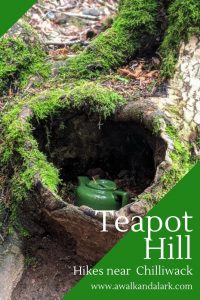 Teapot Hill a fab teapot-filled walk near Chilliwack and Vancouver - Canada