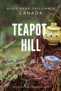 Teapot Hill is a quirky, family friendly hike near Vancouver and Chilliwack, Canada