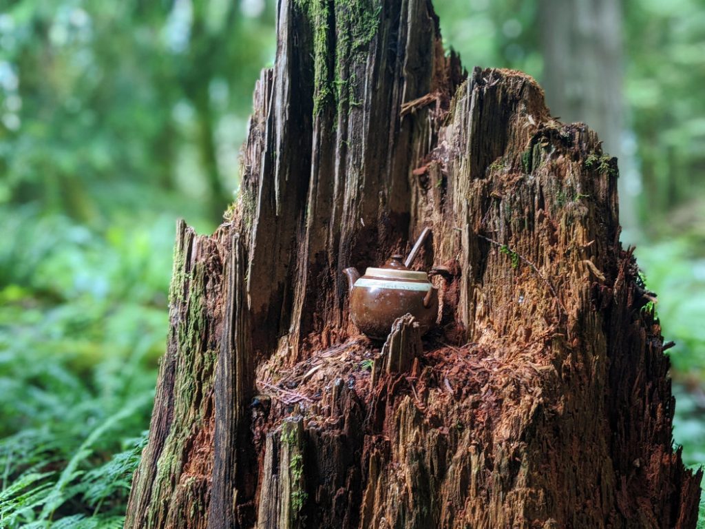 Teapot - brown on a stump