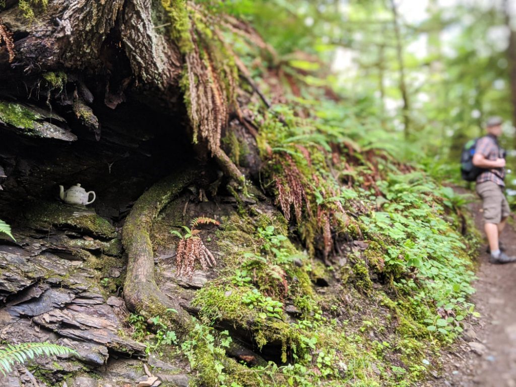 Teapot hiding by the trail
