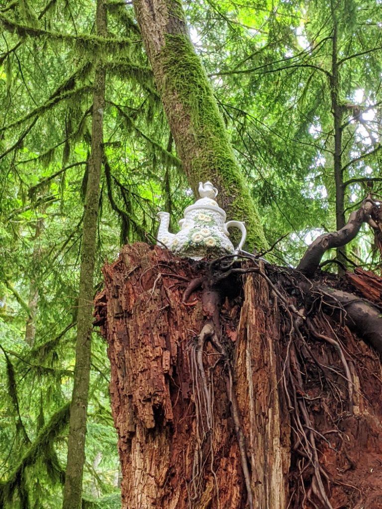 Teapot looking amazing in the forest
