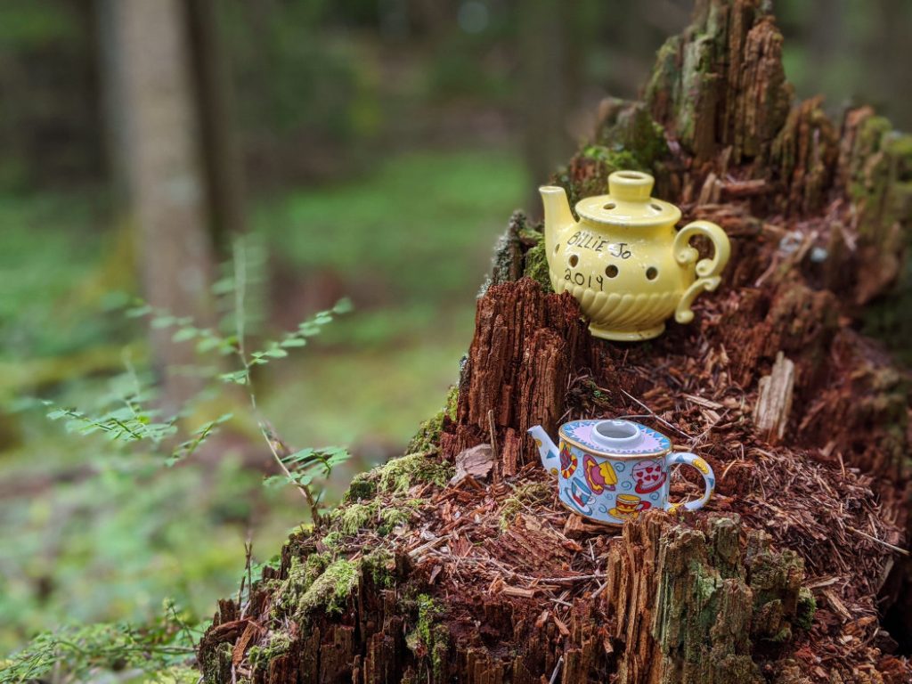 Teapots on a rotten stump again