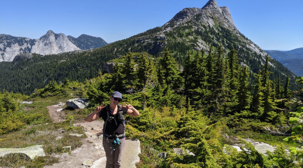 How good are these views - Needle Peak from near the Flatiron