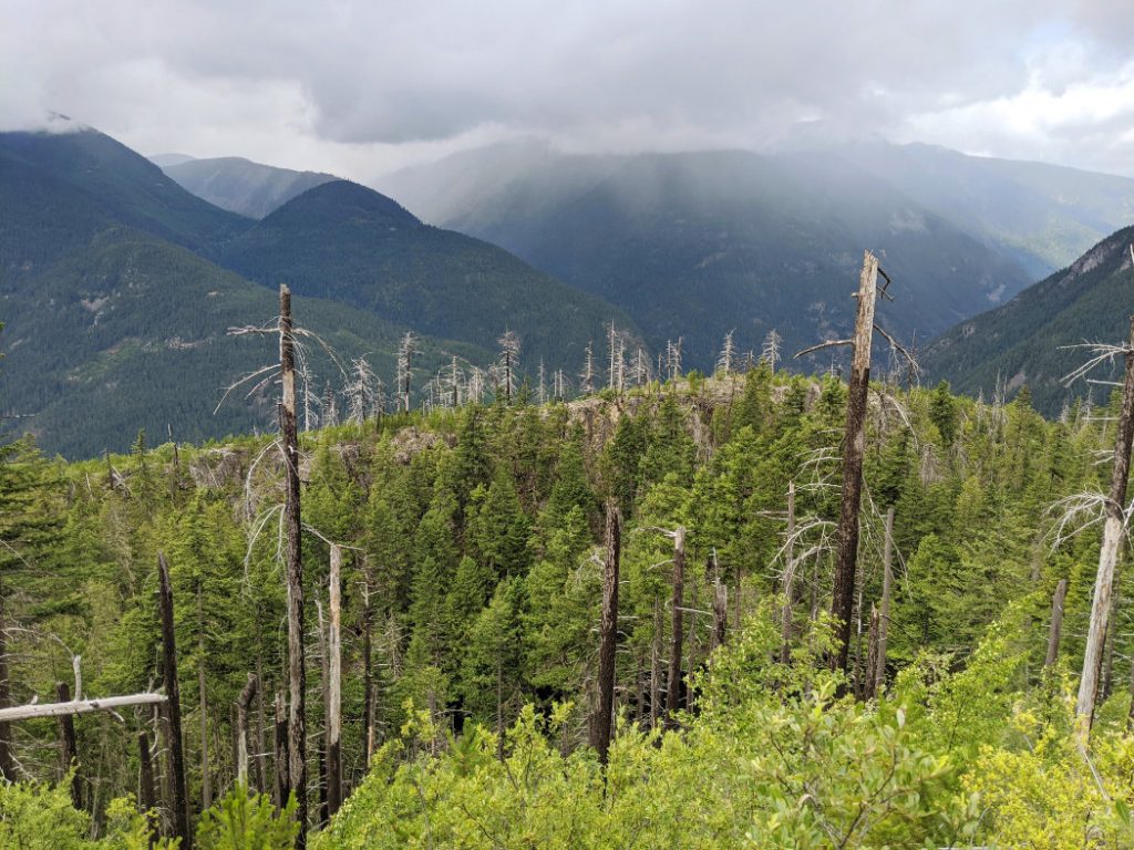 Lake route views - the burnt trees are from a wildfire in 2004