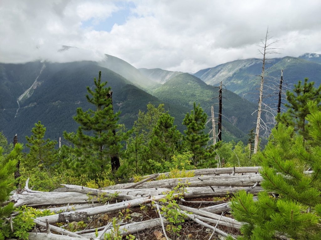 Nlaka'pamux forest, mountains and mist