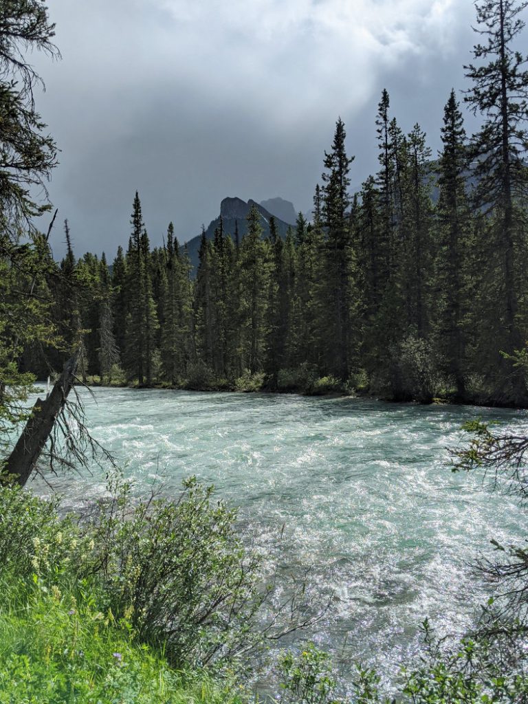 Bow River views from the trail