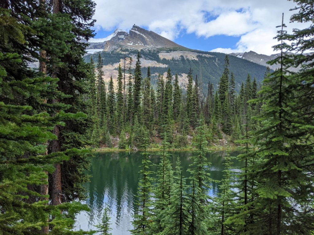 Marpole Lake