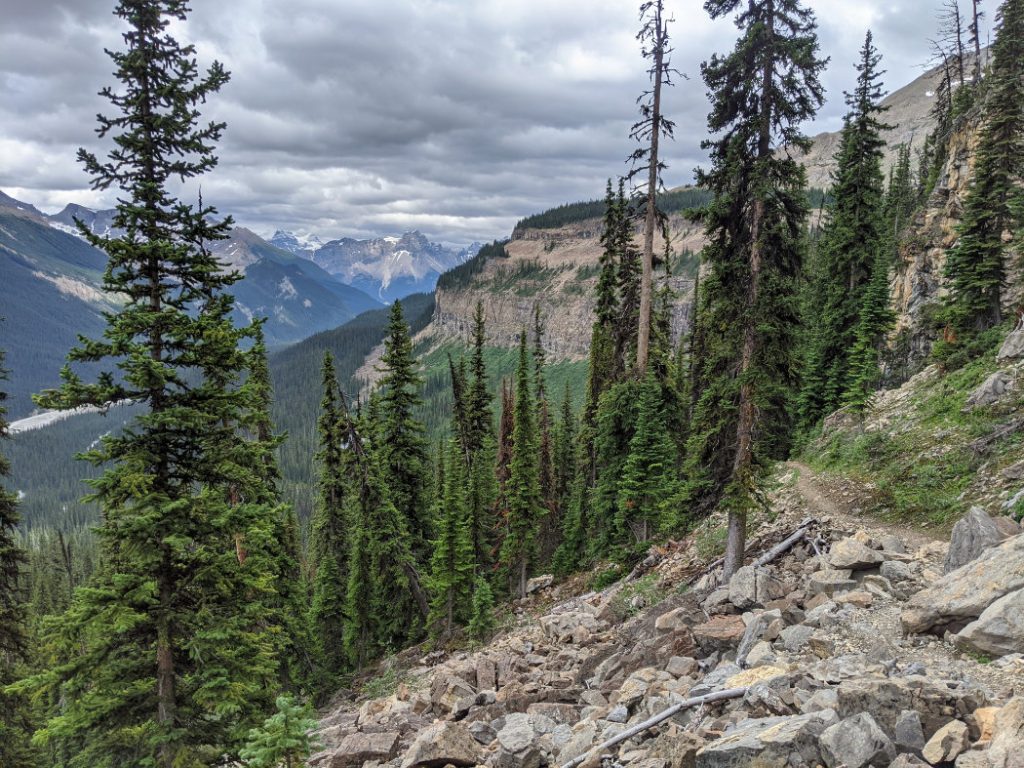 Path up the Whaleback trail