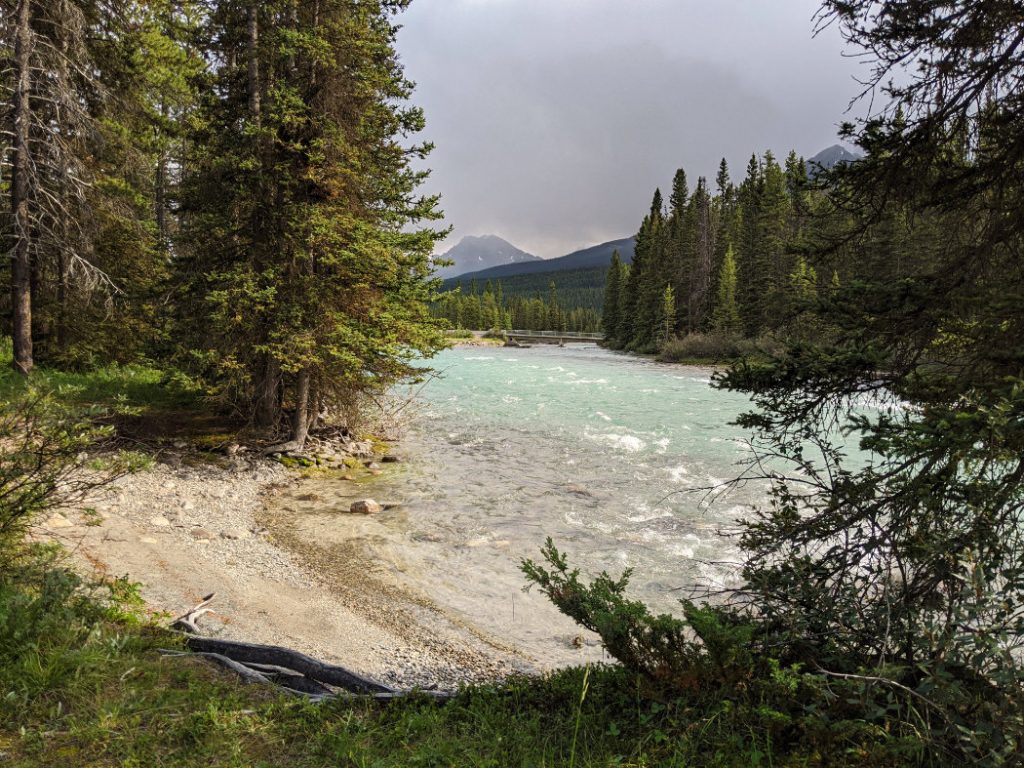 Views on the Bow River Trail loop