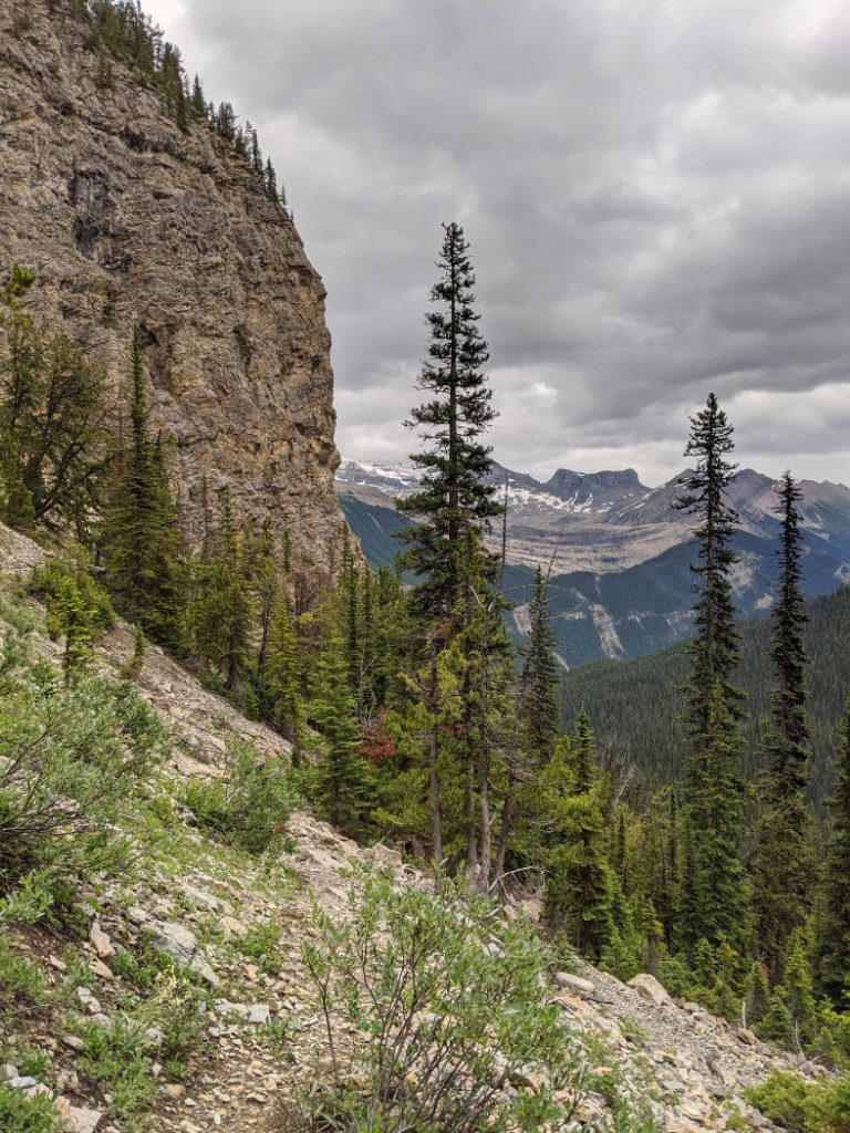 Heading down from the Whaleback
